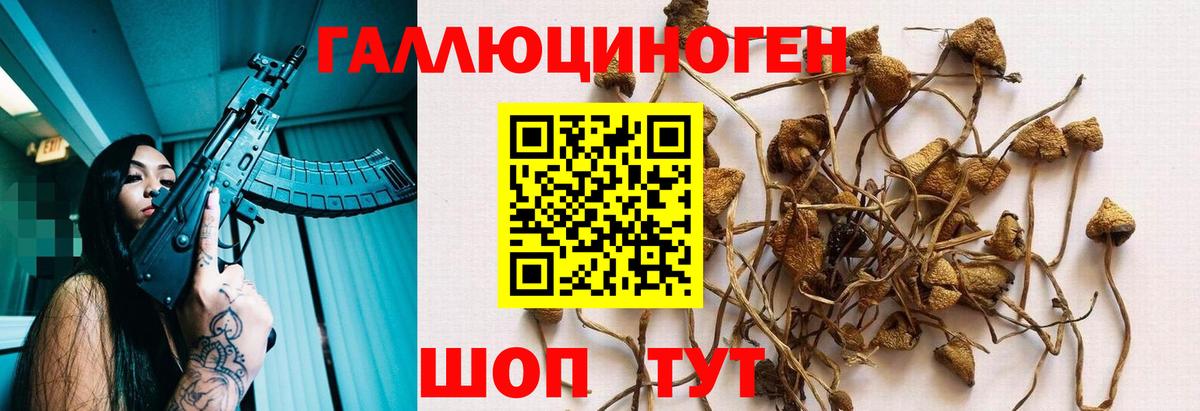 Псилоцибиновые грибы MAGIC MUSHROOMS Сибай