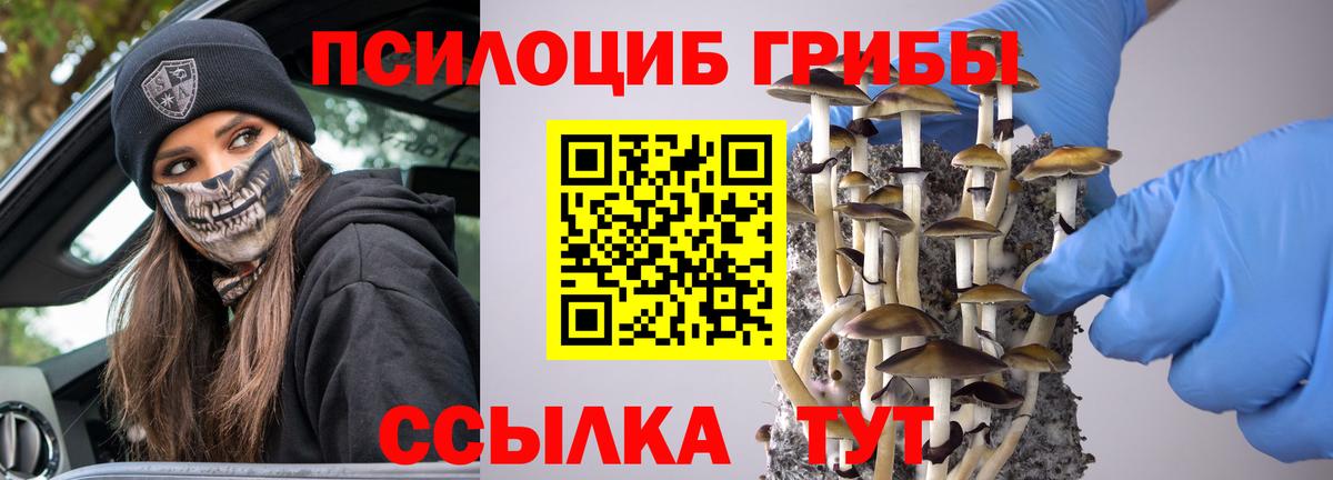 Сибай  Псилоцибиновые грибы мухоморы  Вход с VPN 